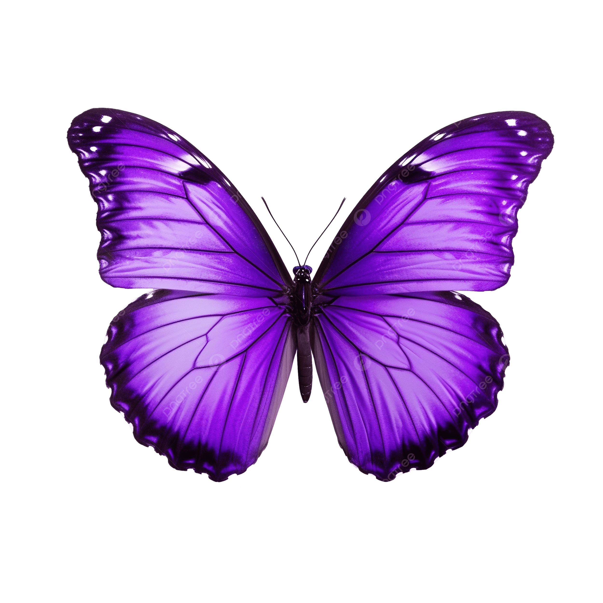 Cursor de borboleta